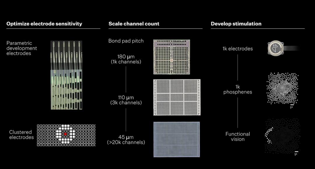 刚刚,马斯克切脑全场震撼!插脑只要1.5秒,26年治愈失明,28年全人类变AI