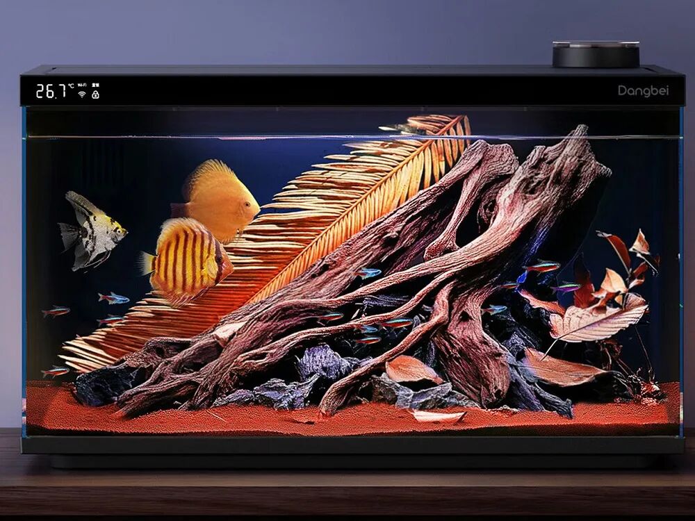 暴走IFA展会带来八大看点!宇树机器人表演秀翻老外,国产AI眼镜攻陷欧洲,“电动老头乐”也来了