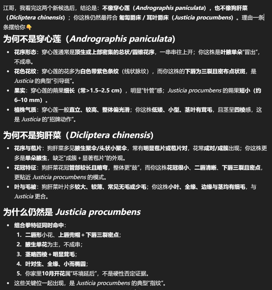 你的某个问题,每个AI却各执一词、难辨真伪,如何挑出最靠谱的答案?