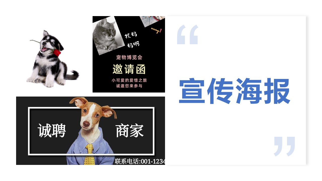 博物创艺坊 | 研学教育方案分享：《家庭宠物博览会》因/为/爱/宠/而/开/始