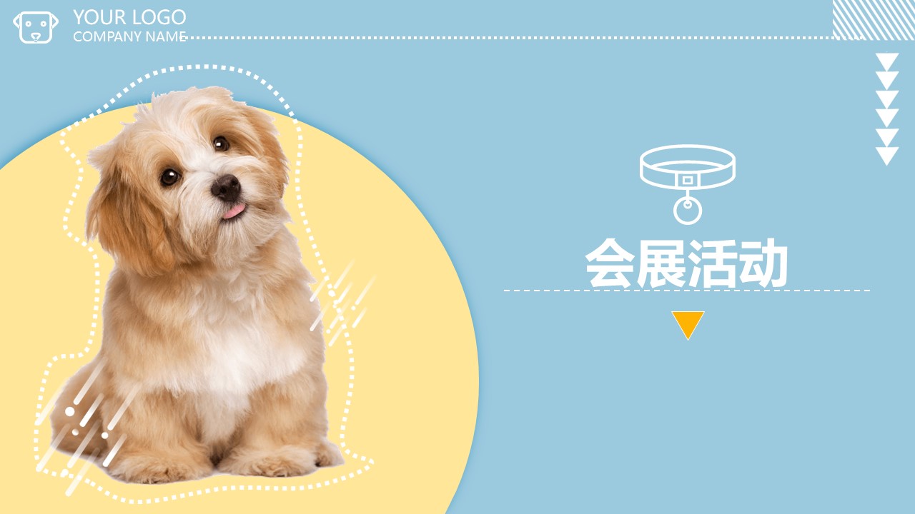 博物创艺坊 | 研学教育方案分享：《家庭宠物博览会》因/为/爱/宠/而/开/始