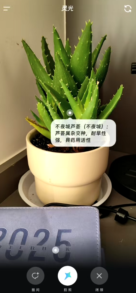 太方便了!30 秒做应用、实时写图文,这个AI 让你灵光了!