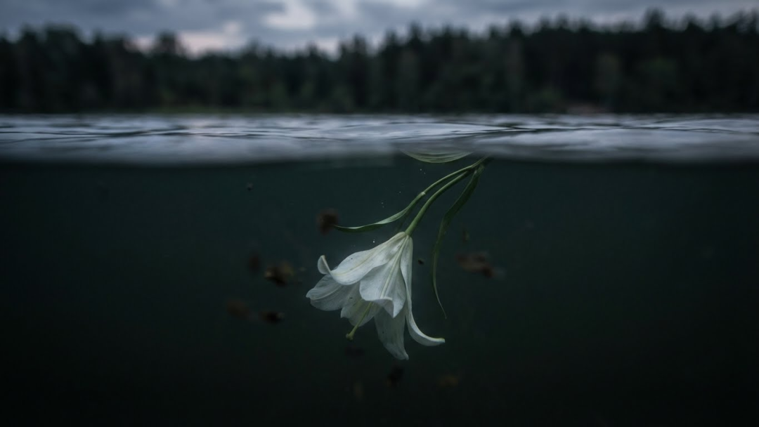 AI没有创造力?或许是人的问题