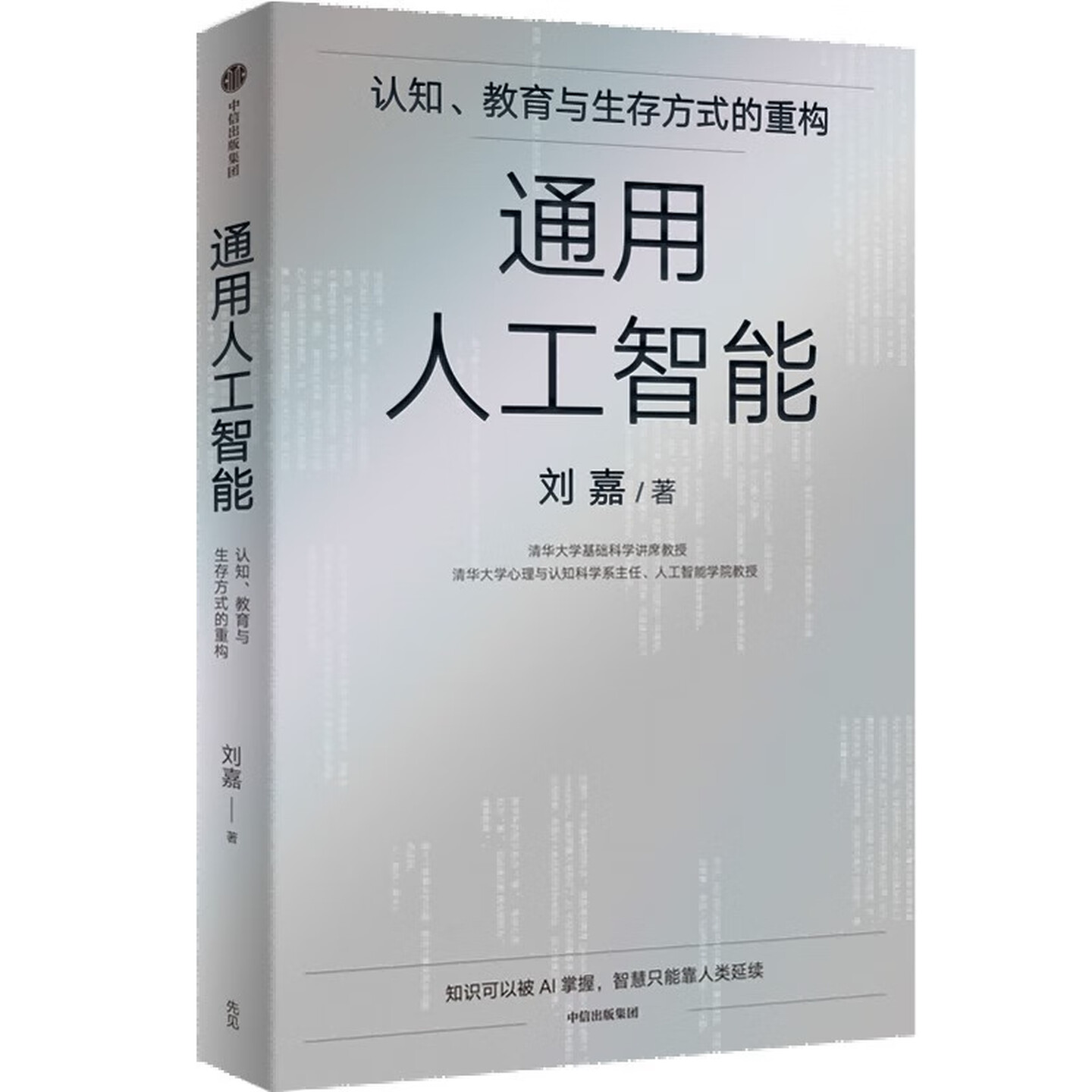 《通用人工智能》