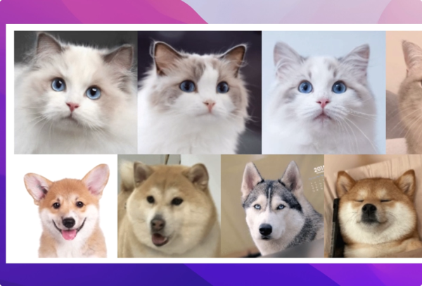 AI动态表情制作教学！无模板限制 随意动~