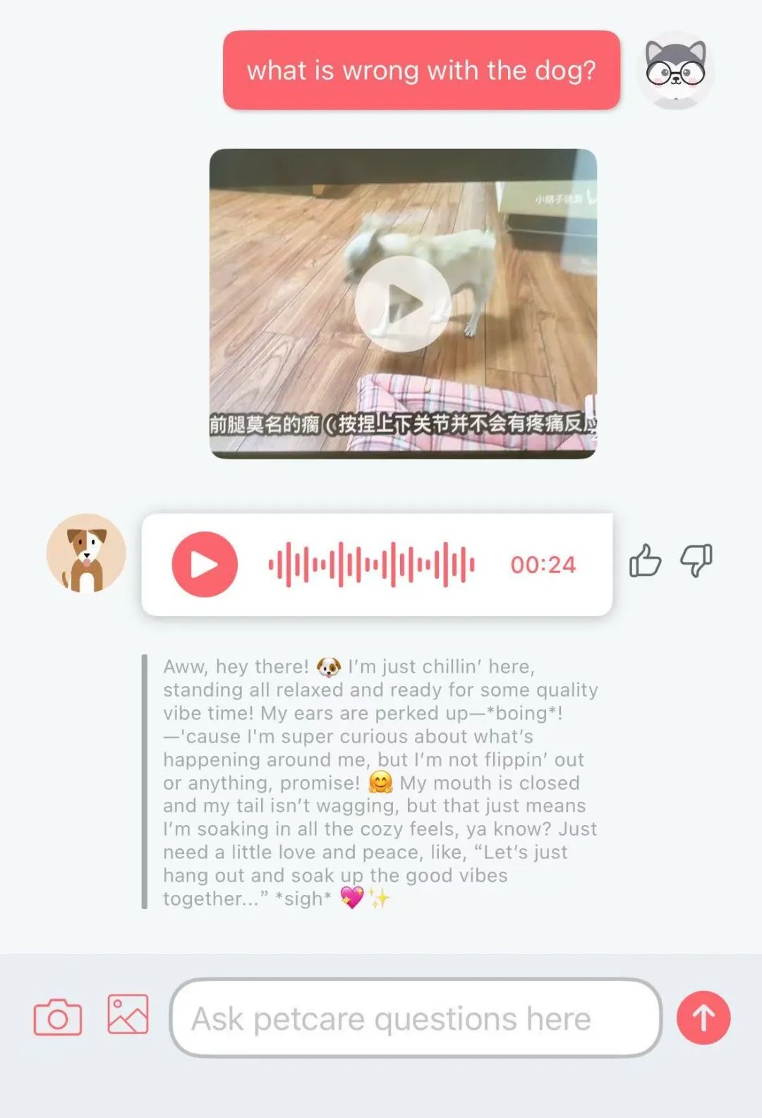 用AI翻译“狗语”，准确率高达81.5%，这个能让狗子说话的AI产品火了