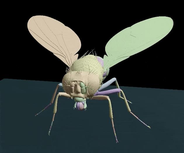 DeepMind果蝇登Nature，强化学习再立功，AI模拟飞行，逼真到腿毛颤抖