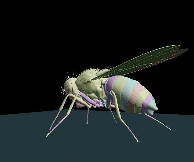 DeepMind果蝇登Nature，强化学习再立功，AI模拟飞行，逼真到腿毛颤抖