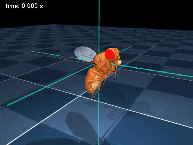 DeepMind果蝇登Nature，强化学习再立功，AI模拟飞行，逼真到腿毛颤抖