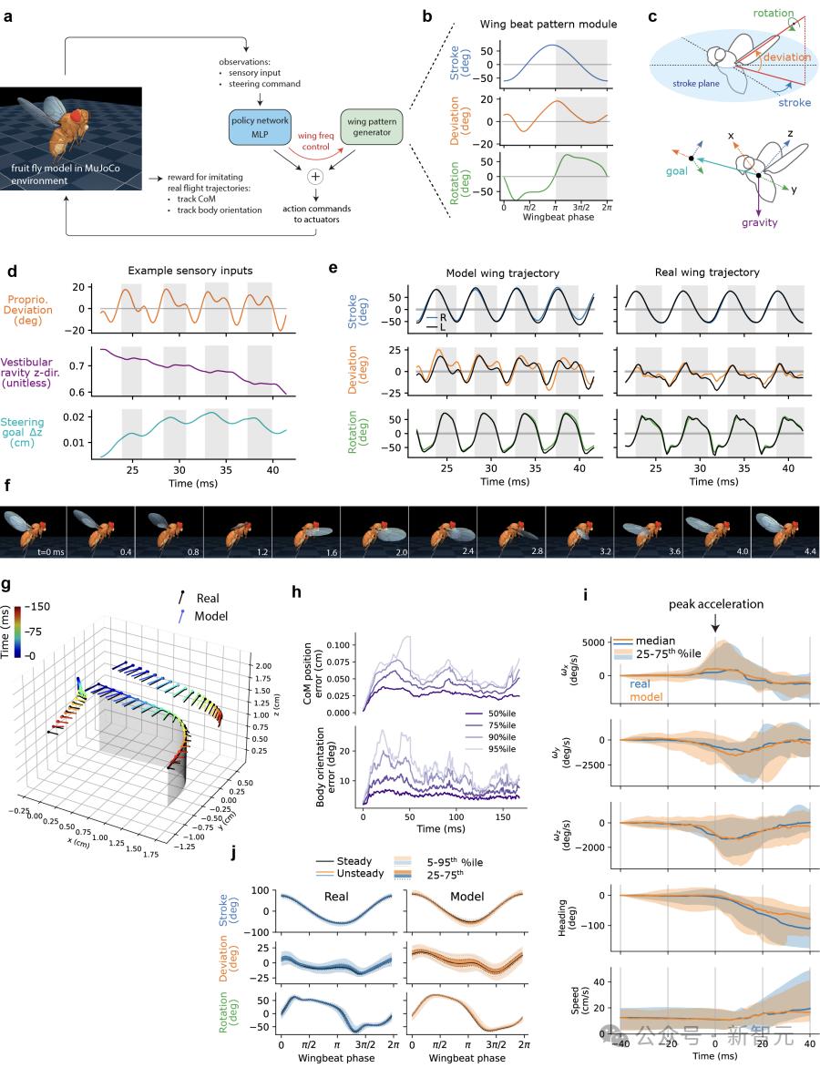 DeepMind果蝇登Nature，强化学习再立功，AI模拟飞行，逼真到腿毛颤抖