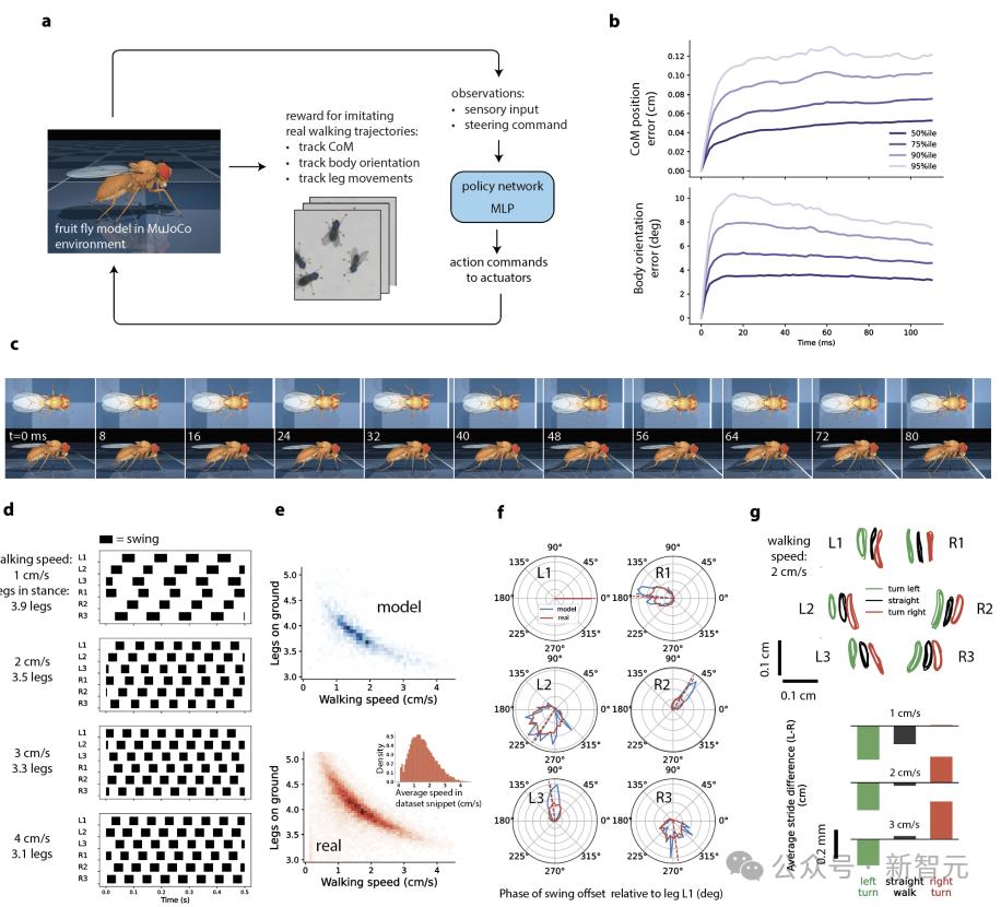 DeepMind果蝇登Nature，强化学习再立功，AI模拟飞行，逼真到腿毛颤抖