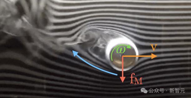 DeepMind果蝇登Nature，强化学习再立功，AI模拟飞行，逼真到腿毛颤抖