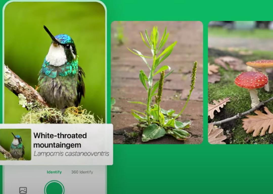 中国最低调的AI应用工厂,上线19个产品,年收入超10亿