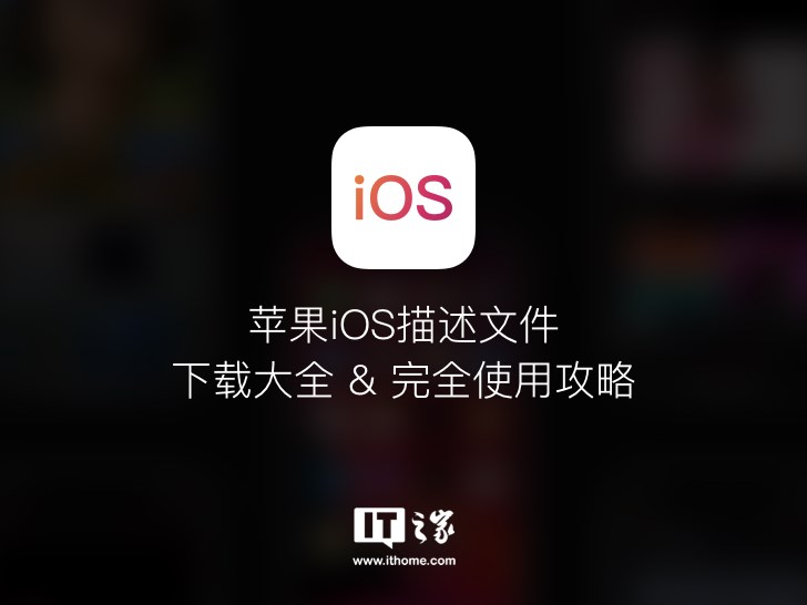 苹果 iOS 描述文件下载大全 & 完全使用攻略:玩测试版 / 限制升级……