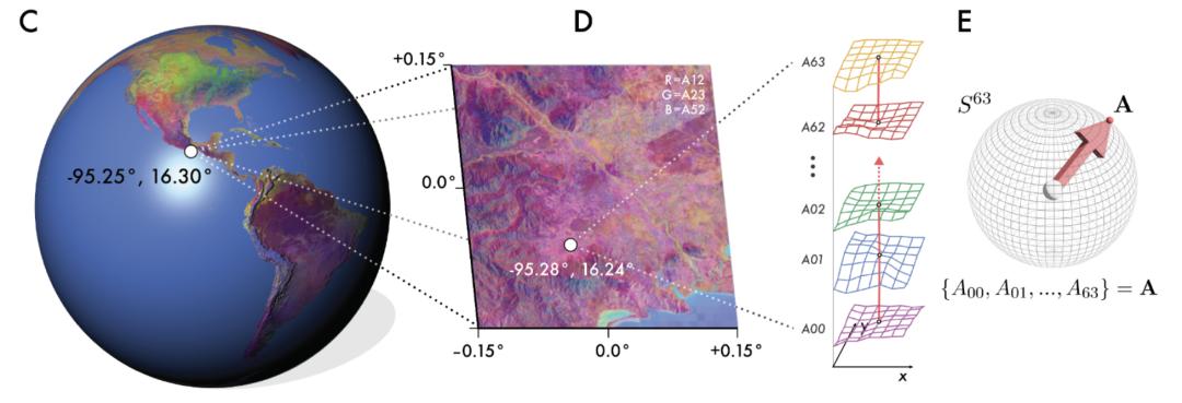 谷歌把整个地球装进大模型，实时观测，按天更新