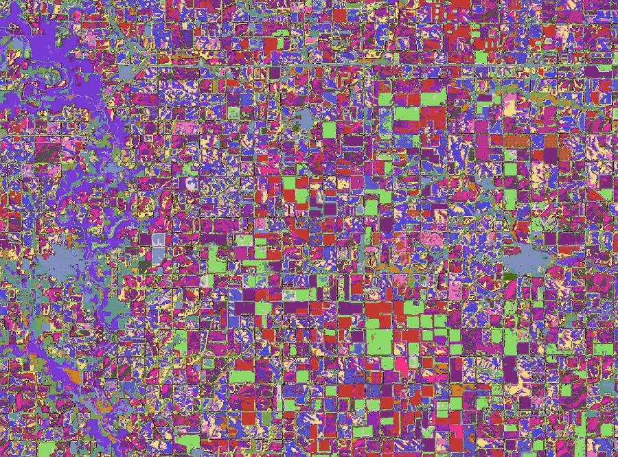 谷歌把整个地球装进大模型，实时观测，按天更新