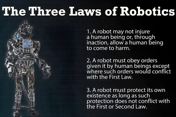 当AI比我们更聪明：李飞飞和Hinton给出截然相反的生存指南