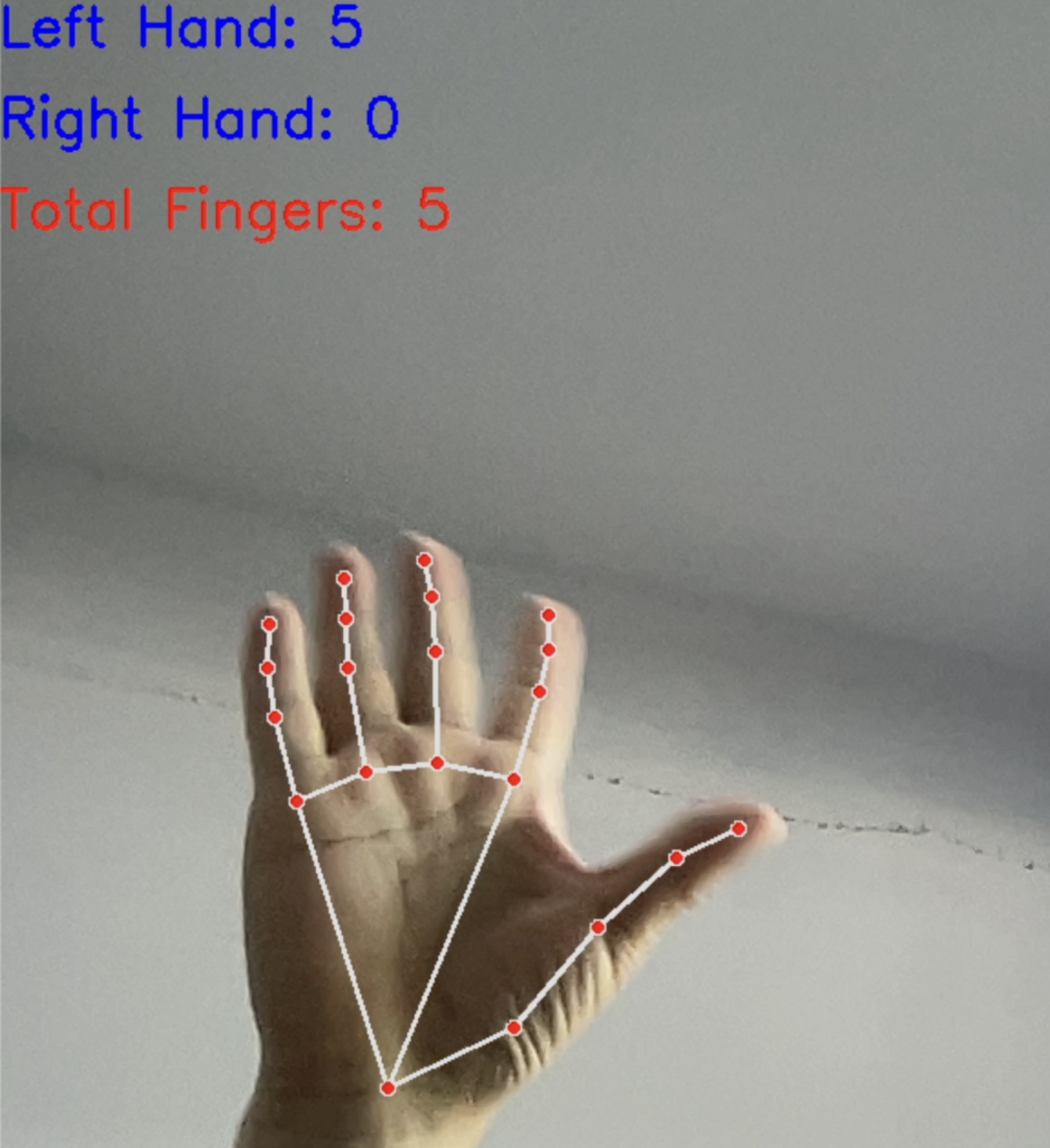 技术实验（代码下载）｜AI视觉-手势识别