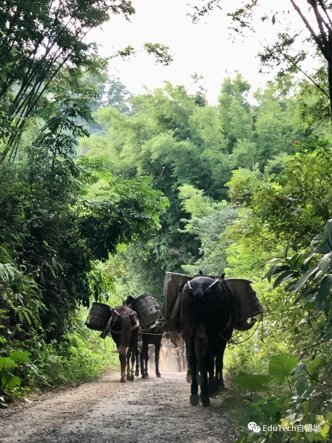 为什么教师应该从教室的后面教？
