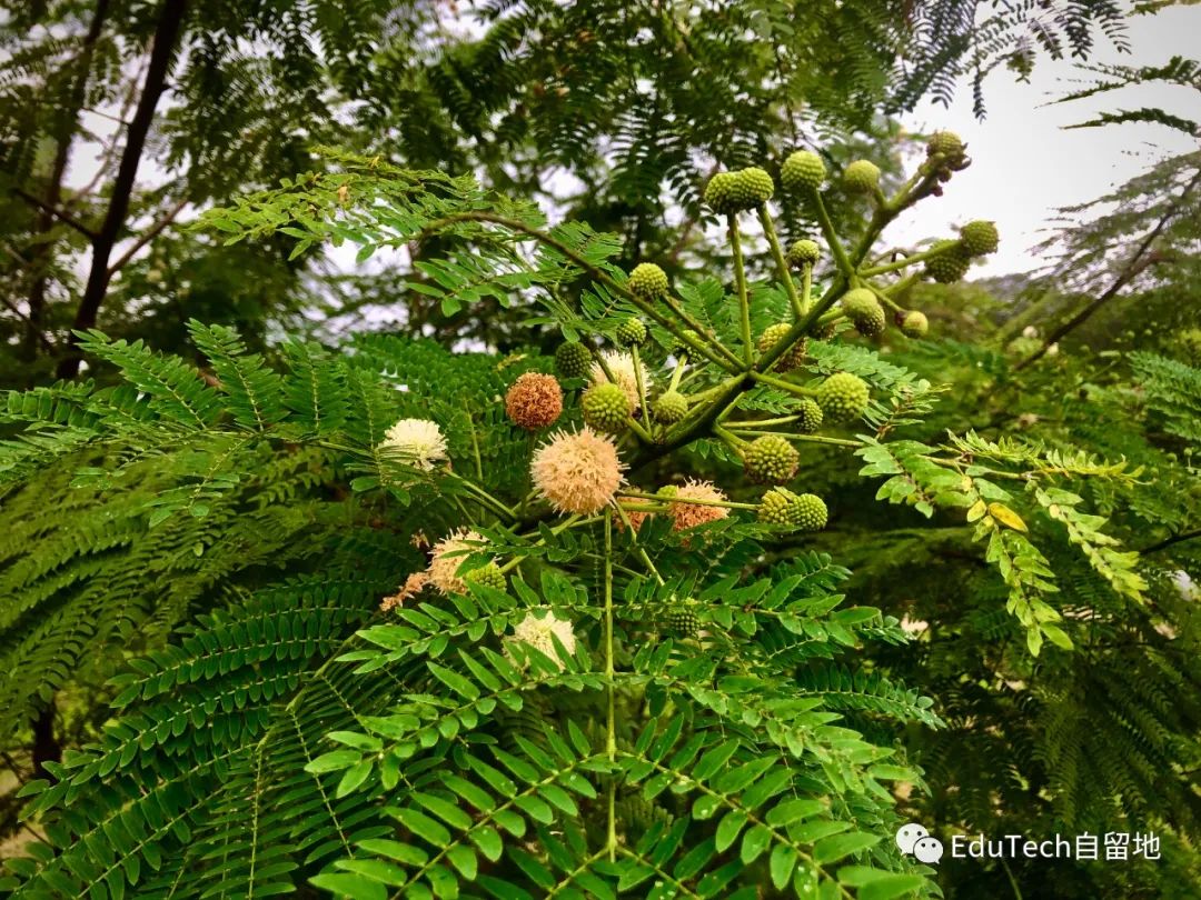年轻人刷短视频，也读书