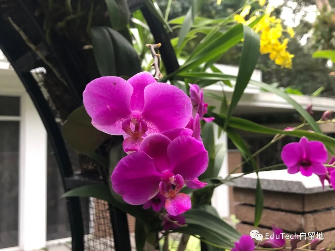 教师工作坊：是什么与为什么？