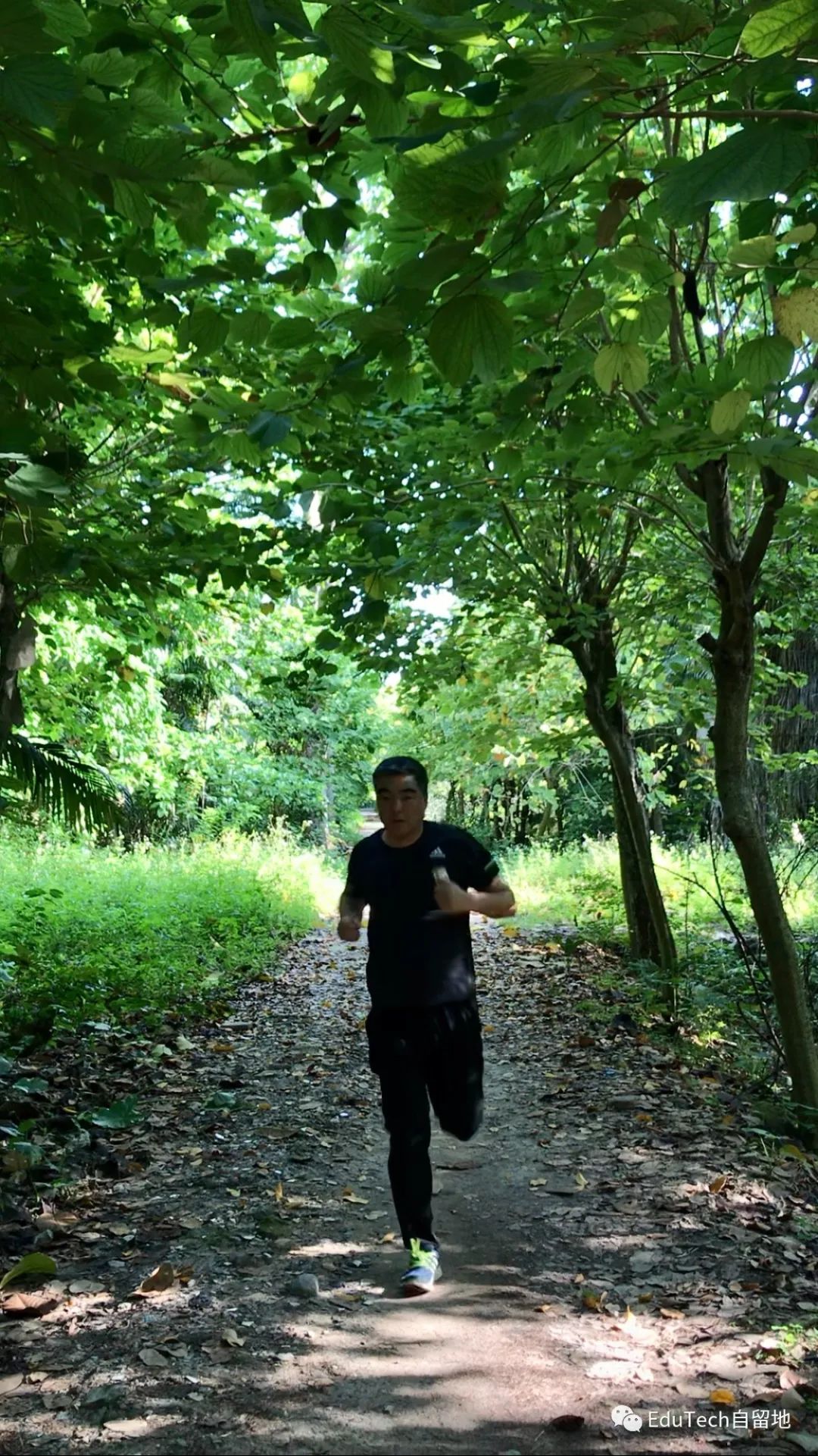 学习科学研究：40年快速回顾