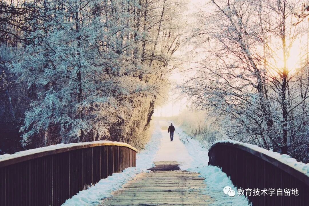 关于学校教育的数字化转型