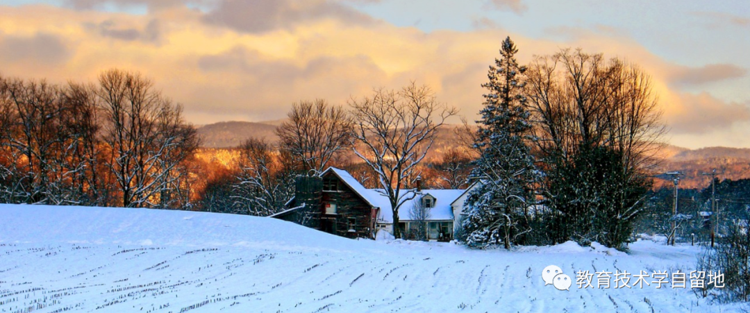 关于学校教育的数字化转型