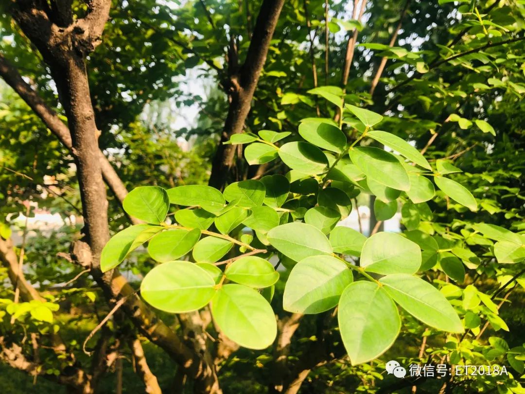 “三个课堂”：我的理解与思考