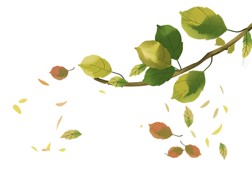 AI赋能，教学设计优秀案例精选