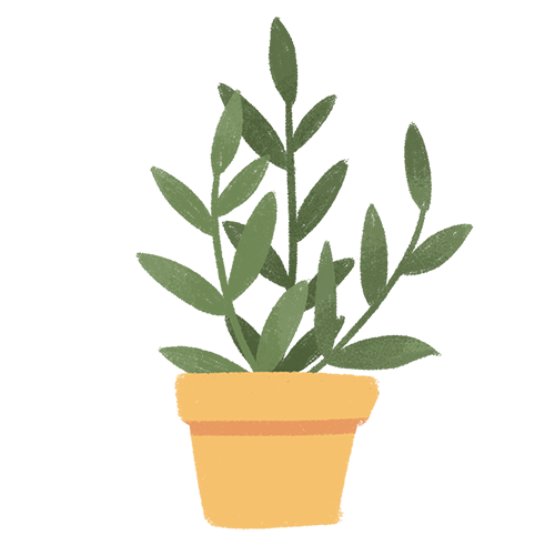 AI赋能，教学设计优秀案例精选