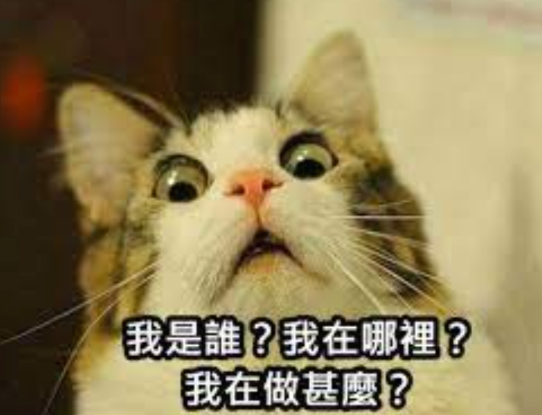 原创 | 为教育献媚-扣子（Coze）开发了一个助教，帮老师批作业，出教案，老师看了都震惊了（附送工作流）