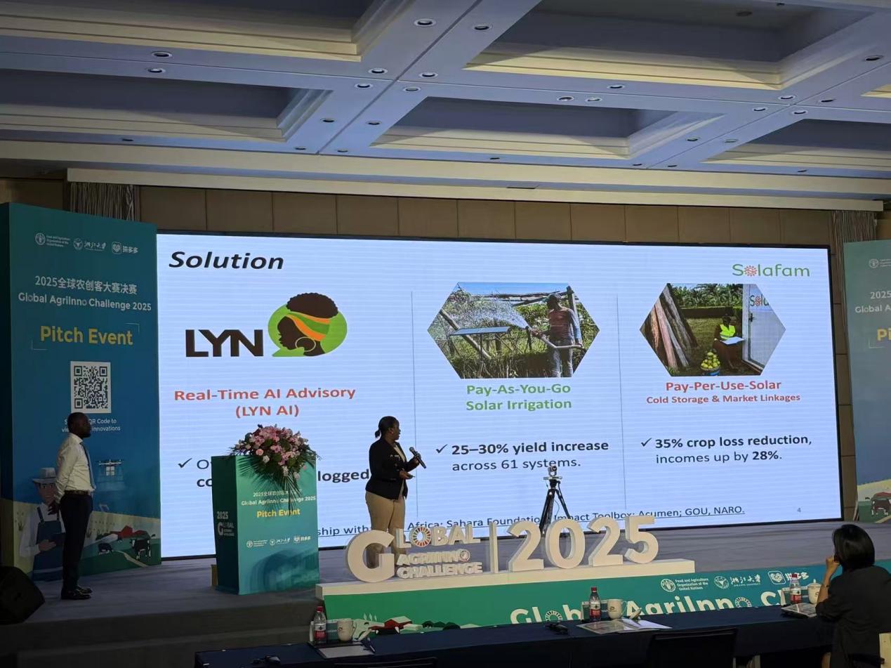 激发农业创新潜力：拼多多助力全球农创客的探索与实践