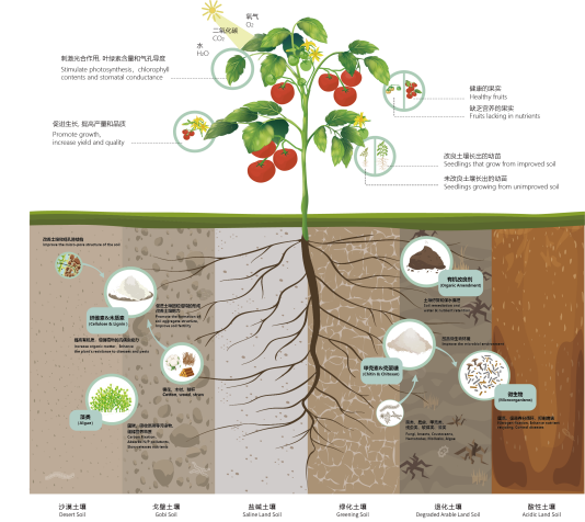激发农业创新潜力：拼多多助力全球农创客的探索与实践