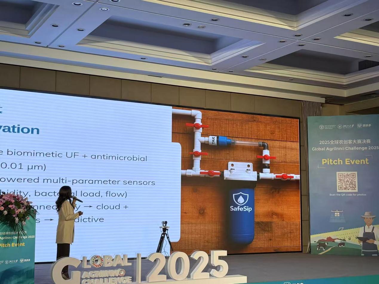 激发农业创新潜力：拼多多助力全球农创客的探索与实践