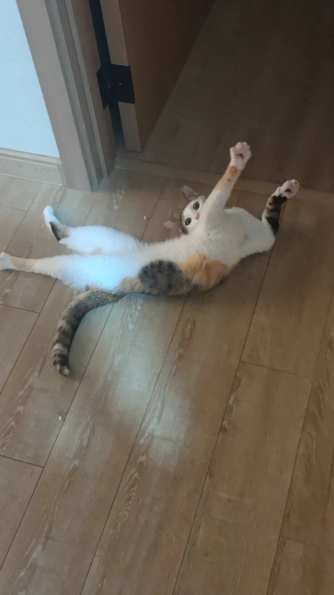 比 Nano Banana 更懂中文，字节最新生图模型惊艳到我了！附10个实测玩法