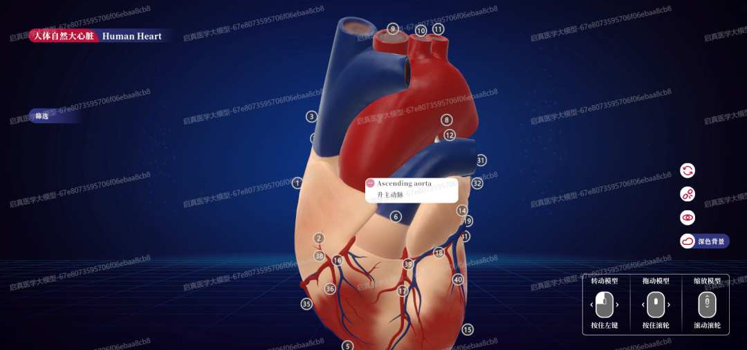 国家智慧教育公共服务平台之生物学科工具应用指南（附两个AI家庭医生平台网址）