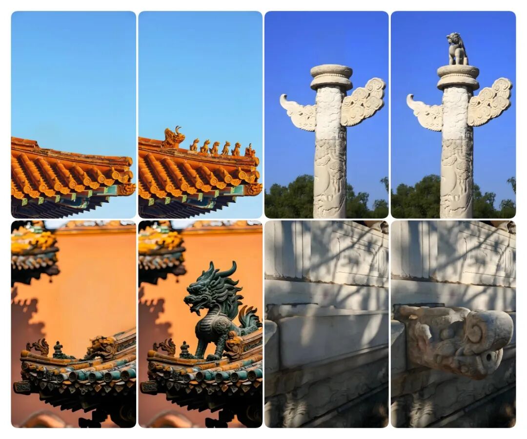 破防了！用AI让故宫神兽“复活”，600年的劝诫在此刻终于苏醒