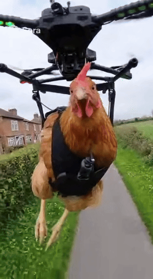 Sora爆火视频有什么特质？别再纠结画质和水印了