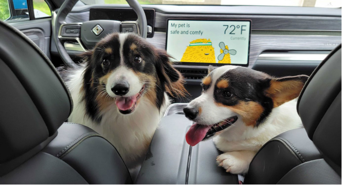 智能宠物出行落地方案：为车企带来安全、舒适与增值服务