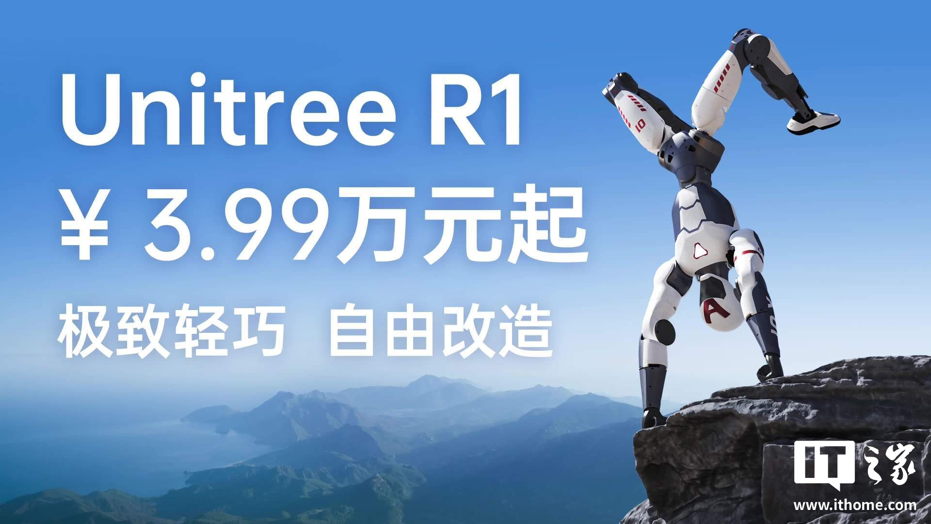 人形机器人，你看中了哪个？