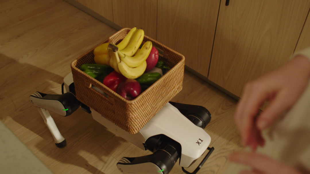 7499 元全球首款家庭智能体机器人：越疆 Rover X1 机器狗发布，能搬东西能跟拍