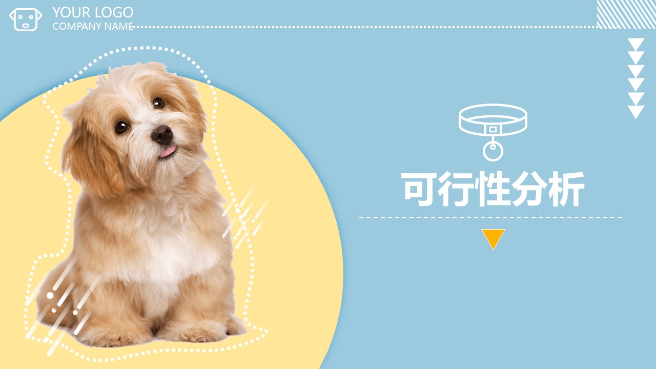 博物创艺坊 | 研学教育方案分享：《家庭宠物博览会》因/为/爱/宠/而/开/始