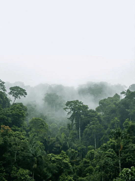 PK Nano Banana2，我用美图RoboNeo做出18种动态海报的邪修玩法