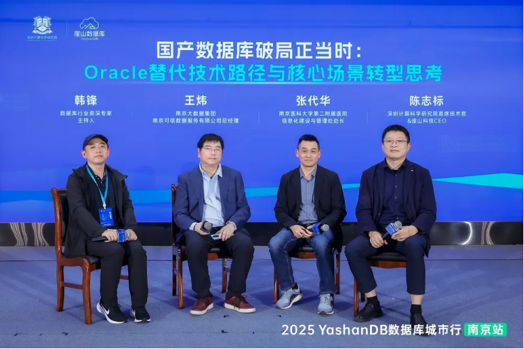 政务+医疗双视角：YashanDB 如何破解“不敢替、替不起” 困局