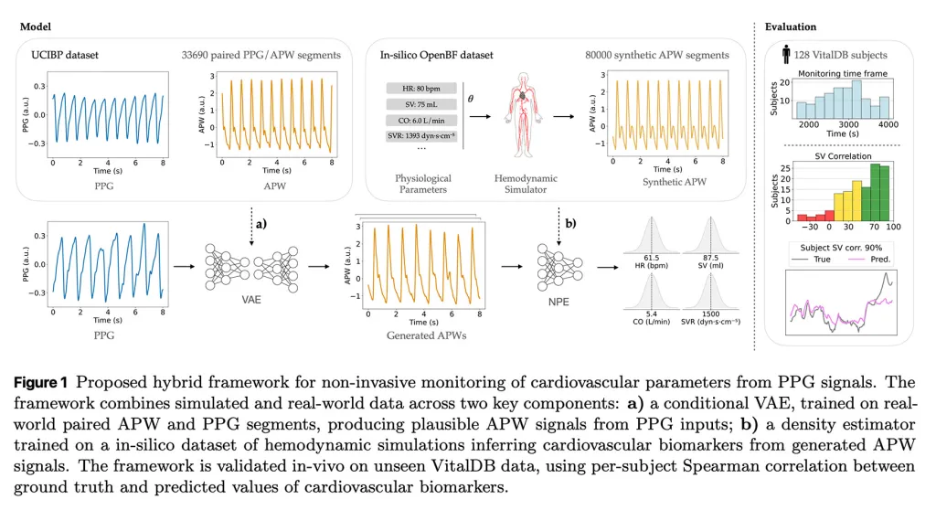 苹果新研究：AI 可从 Apple Watch 光学传感器中挖掘更深入的心脏健康数据