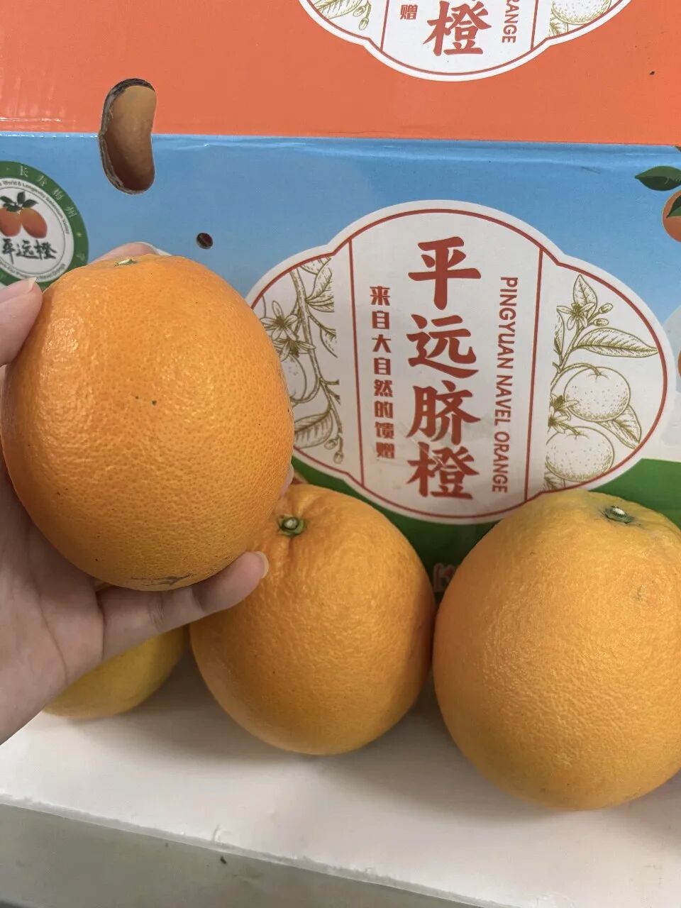 这颗征服我味蕾的橙子，被我做成了一支“橙”意满满的AI宣传片