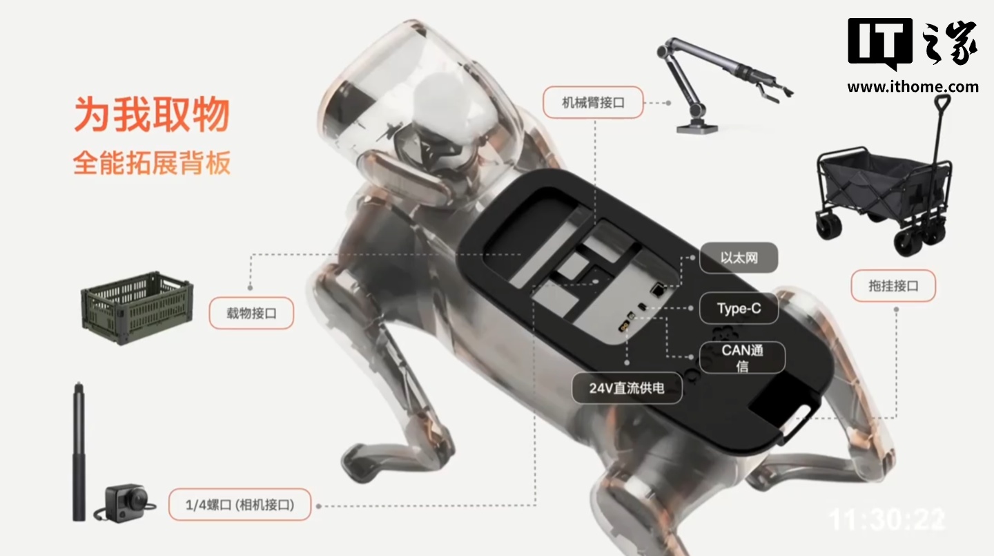 全球首款无需遥控的智能机器狗：维他动力“大头 BoBo”发布，128T 最强算力，售价不到 1 万元