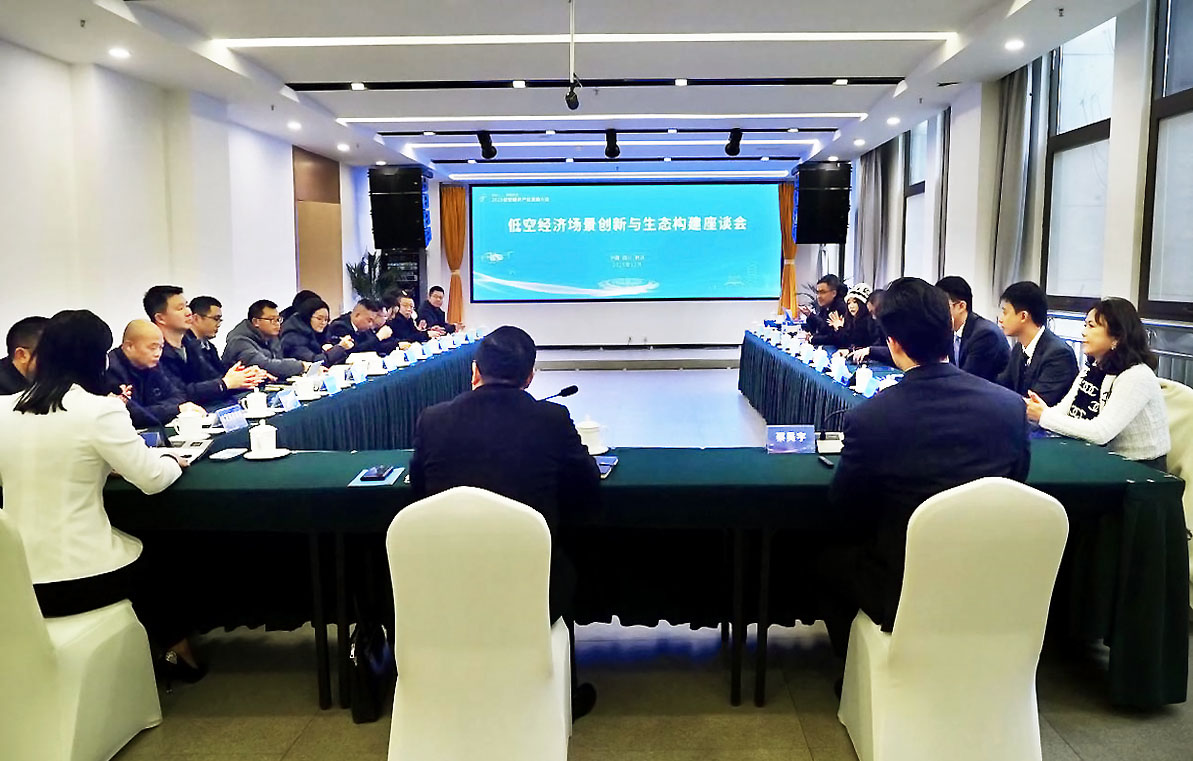 智绘低空 领航未来 2025低空经济产业发展大会在射洪举办