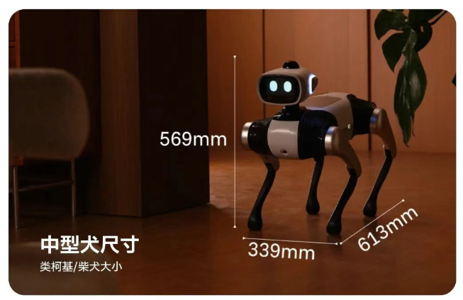 全球首款无需遥控的智能机器狗，维他动力“大头 BoBo”将开启公测